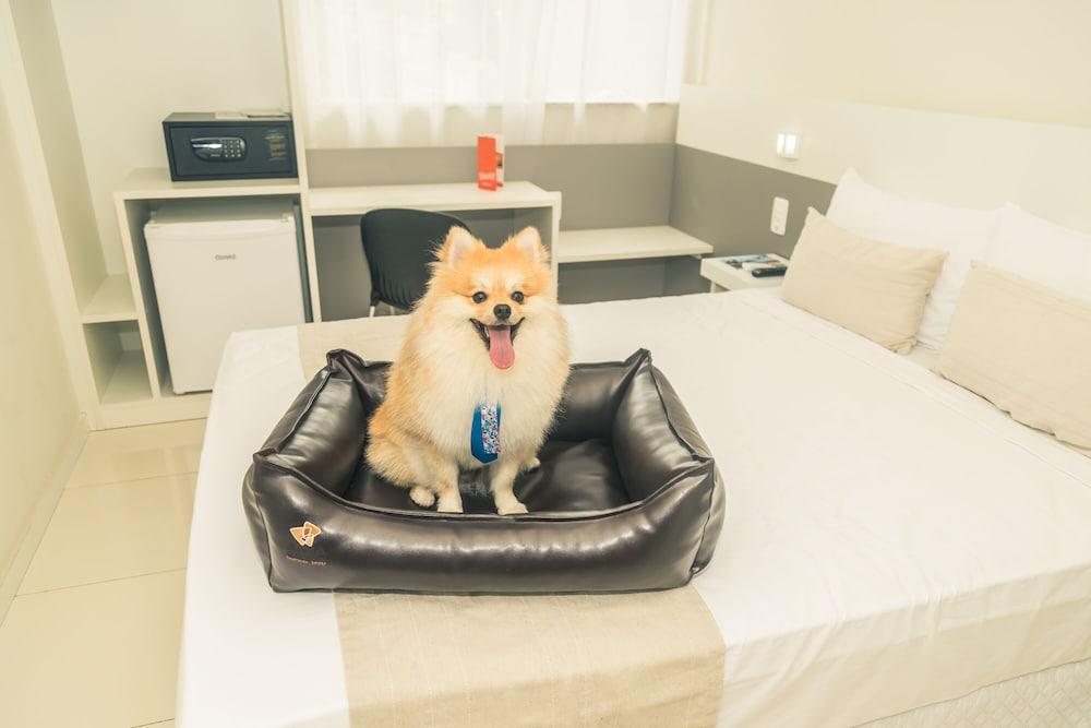 Bristol Easy Uba Hotel Екстер'єр фото